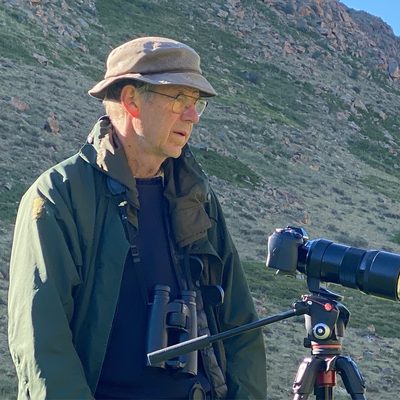 Portrait of Dr Andrew Laurie